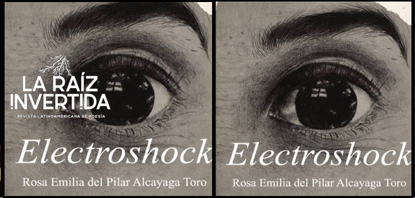 Un choque con la poesía de Rosa Emilia del Pilar Alcayaga Toro